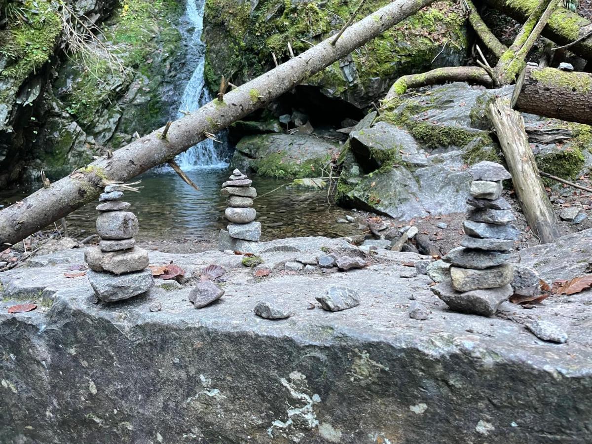 Ferienwohnung Am Schluchsee Luaran gambar